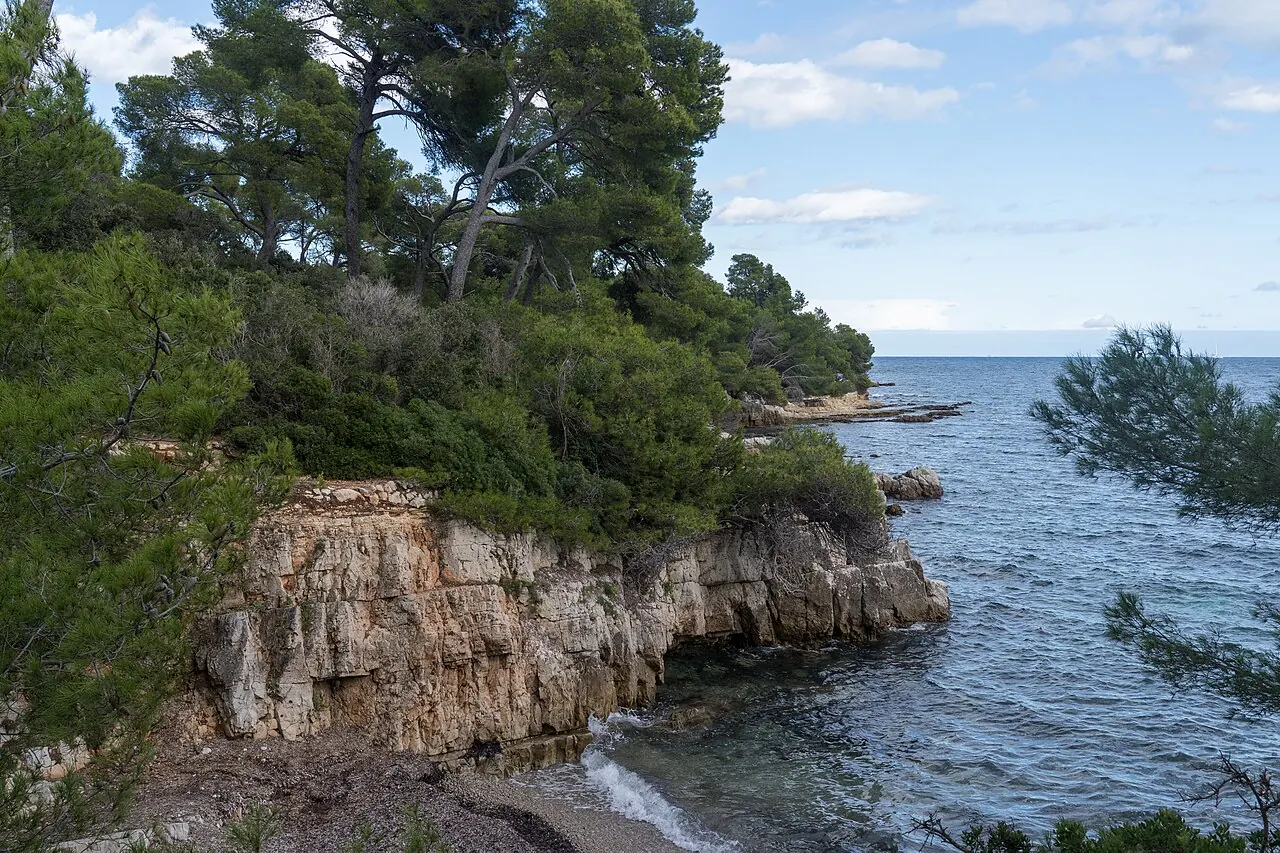 Îles de Lérins shoreline near Cannes