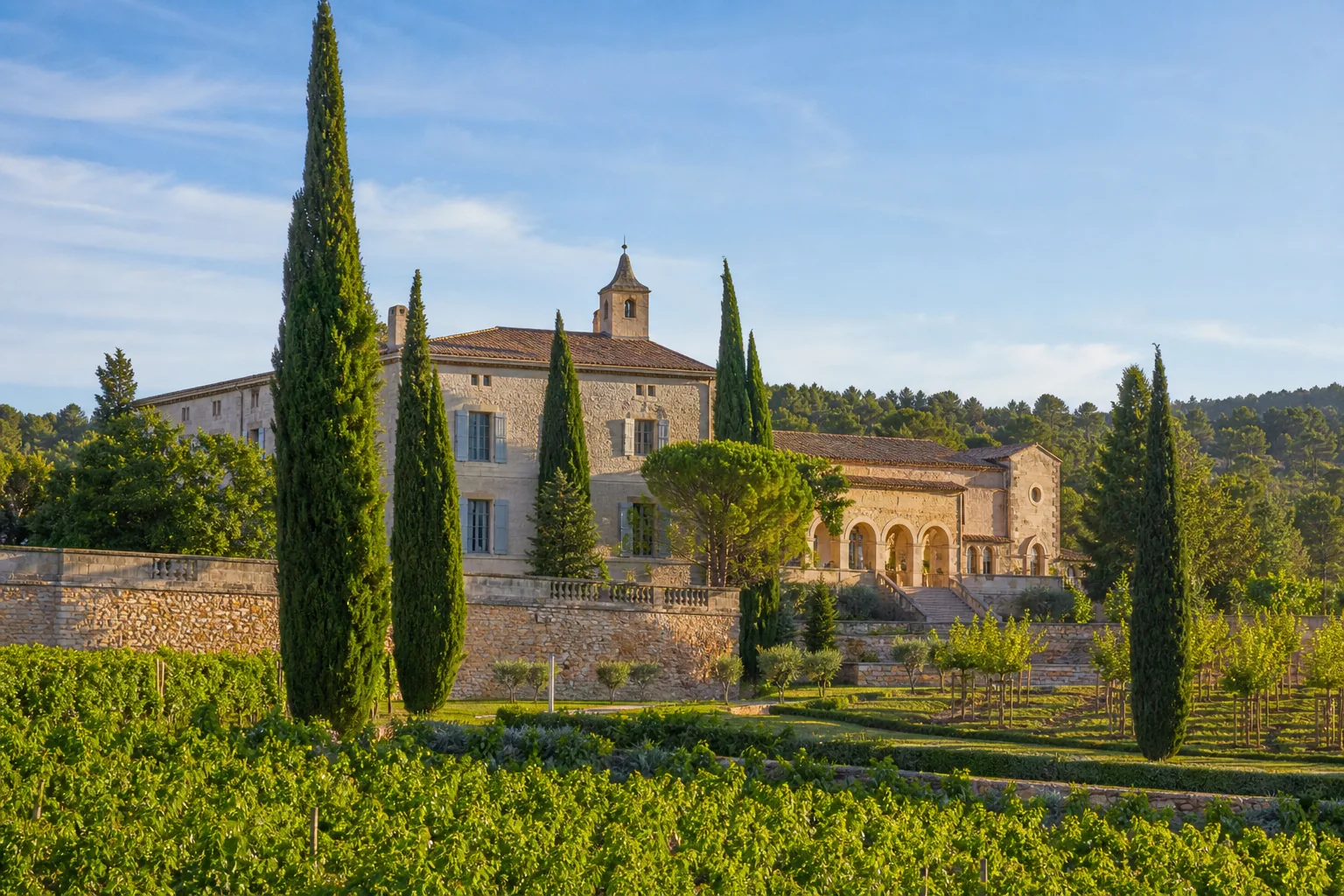 Private Vineyard Tour at a Cru Classé Estate